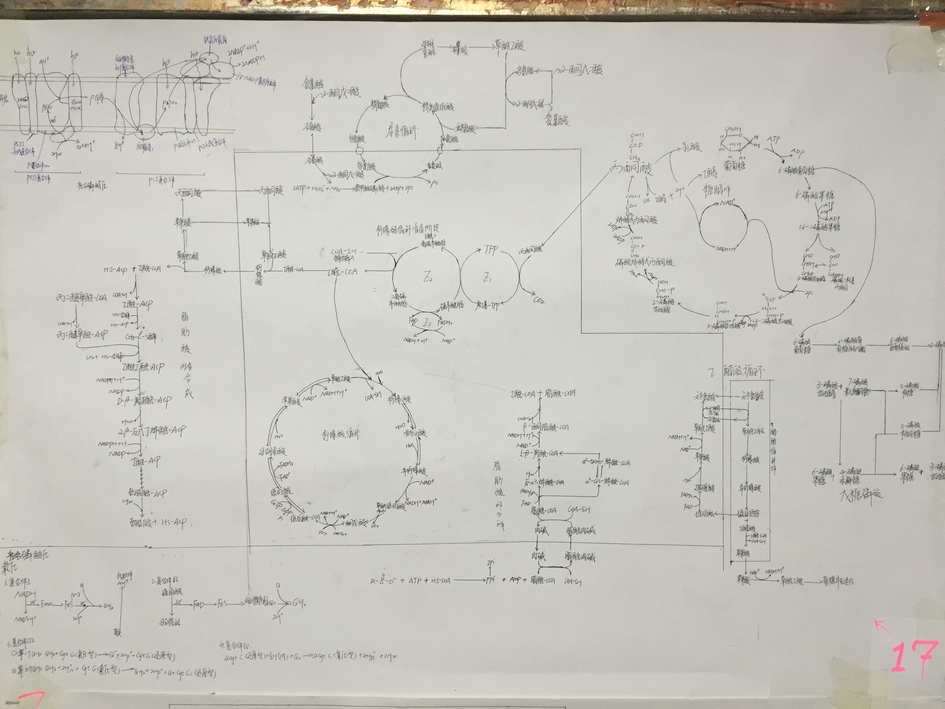 优秀作业（四）