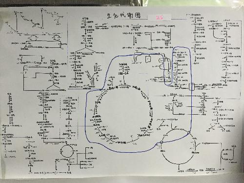 优秀作业（五）