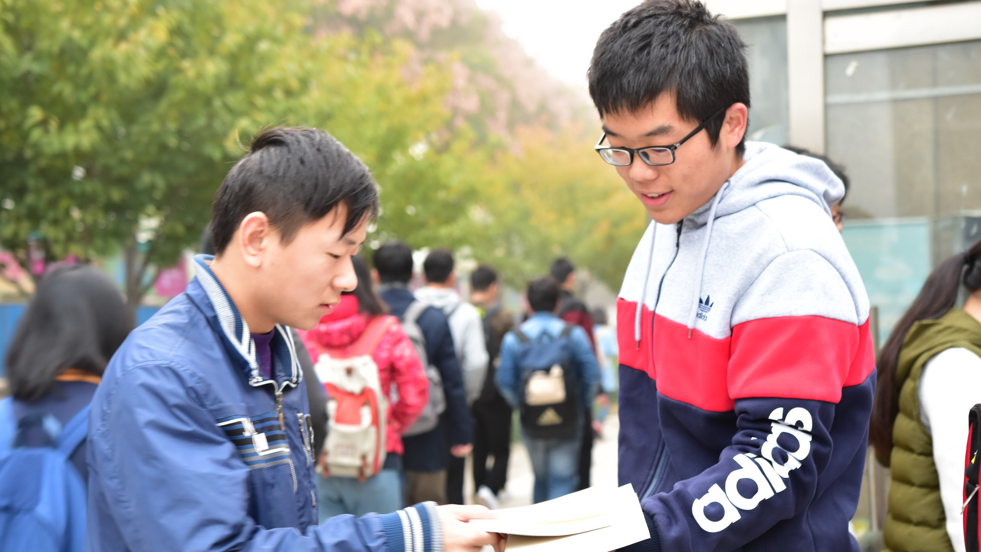 领取西农解放记忆