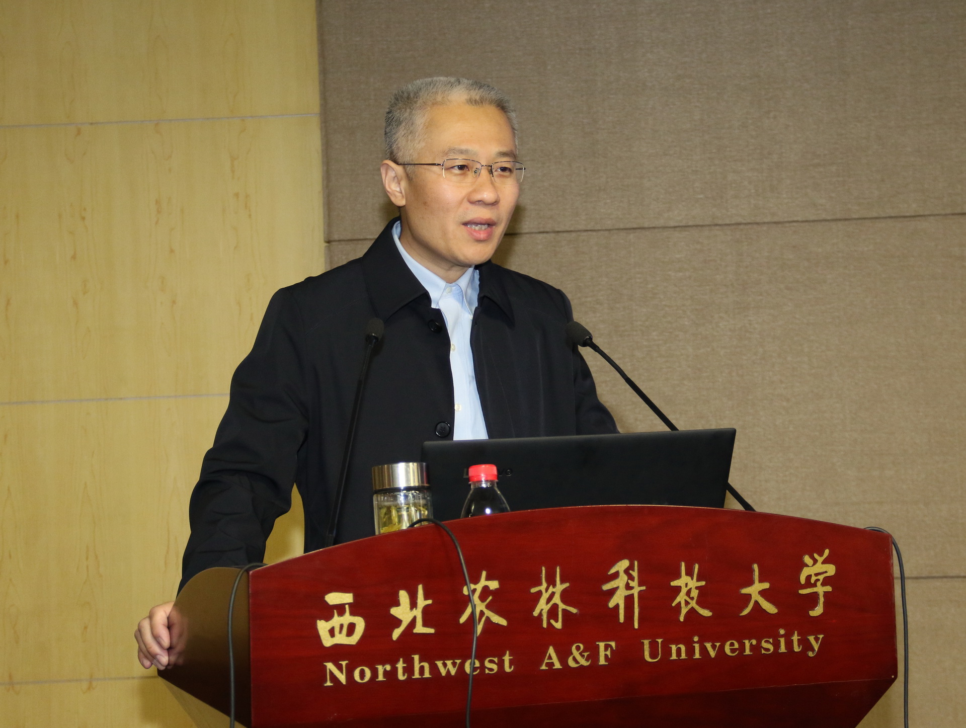 杨森教授发言